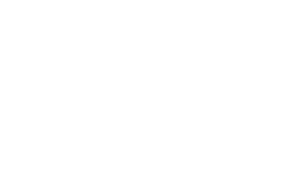 núcleo de arte e novos organismos