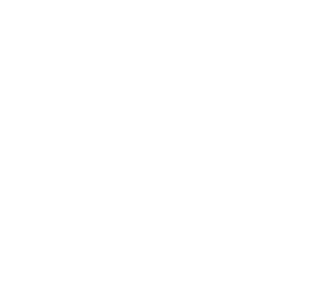 núcleo de arte e novos organismos