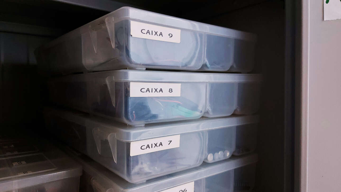 Imagem de caixas. Projeto de organização do nano - Foto por Ste Fernandes