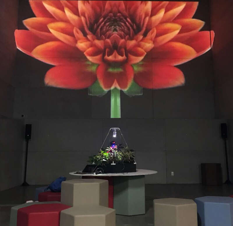 terrario interativo site nano ufrj eba