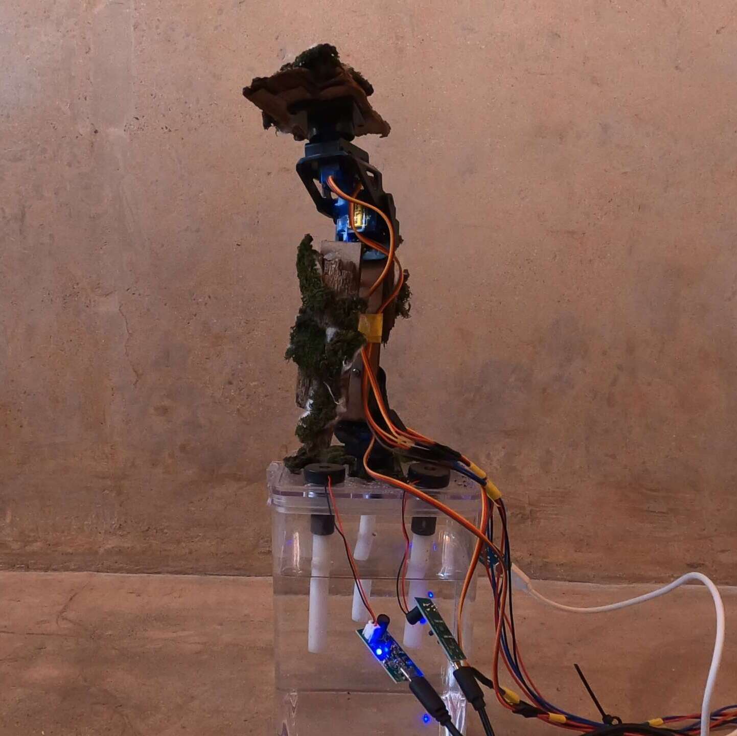 Natureza Cinética - jonas Esteves de bem